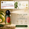 Yuzu leaf fragrance bottle with gold liquid, black cap, and green leaves on a stone