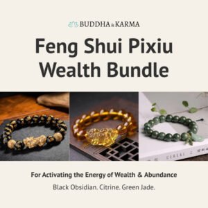 FengShuiPixiuWealthBundle Buddha & Karma Feng Shui Pixiu Wealth Bundle