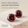 Capricorn Zodiac & January Birthstone Necklaces mySite
