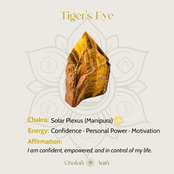 Tiger‘s Eye Pearl Shell Wealth Bracelet mySite