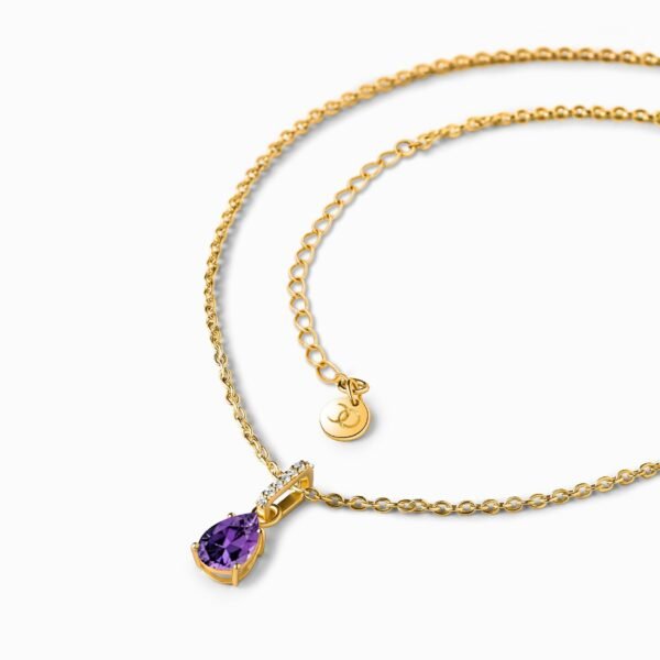 Aquarius Zodiac & February Birthstone Necklaces mySite